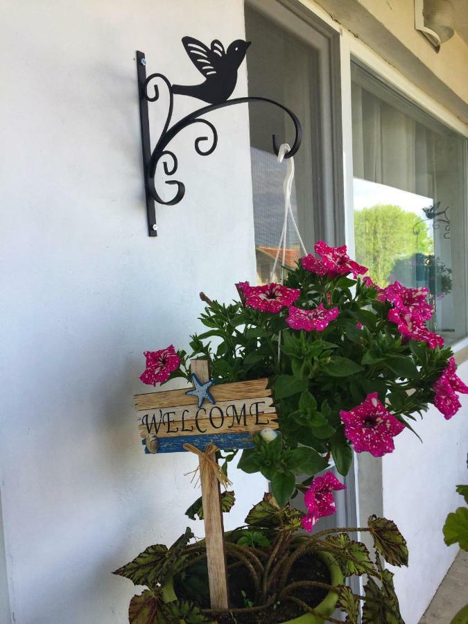 Villa Steffi Golden Sands Exterior foto